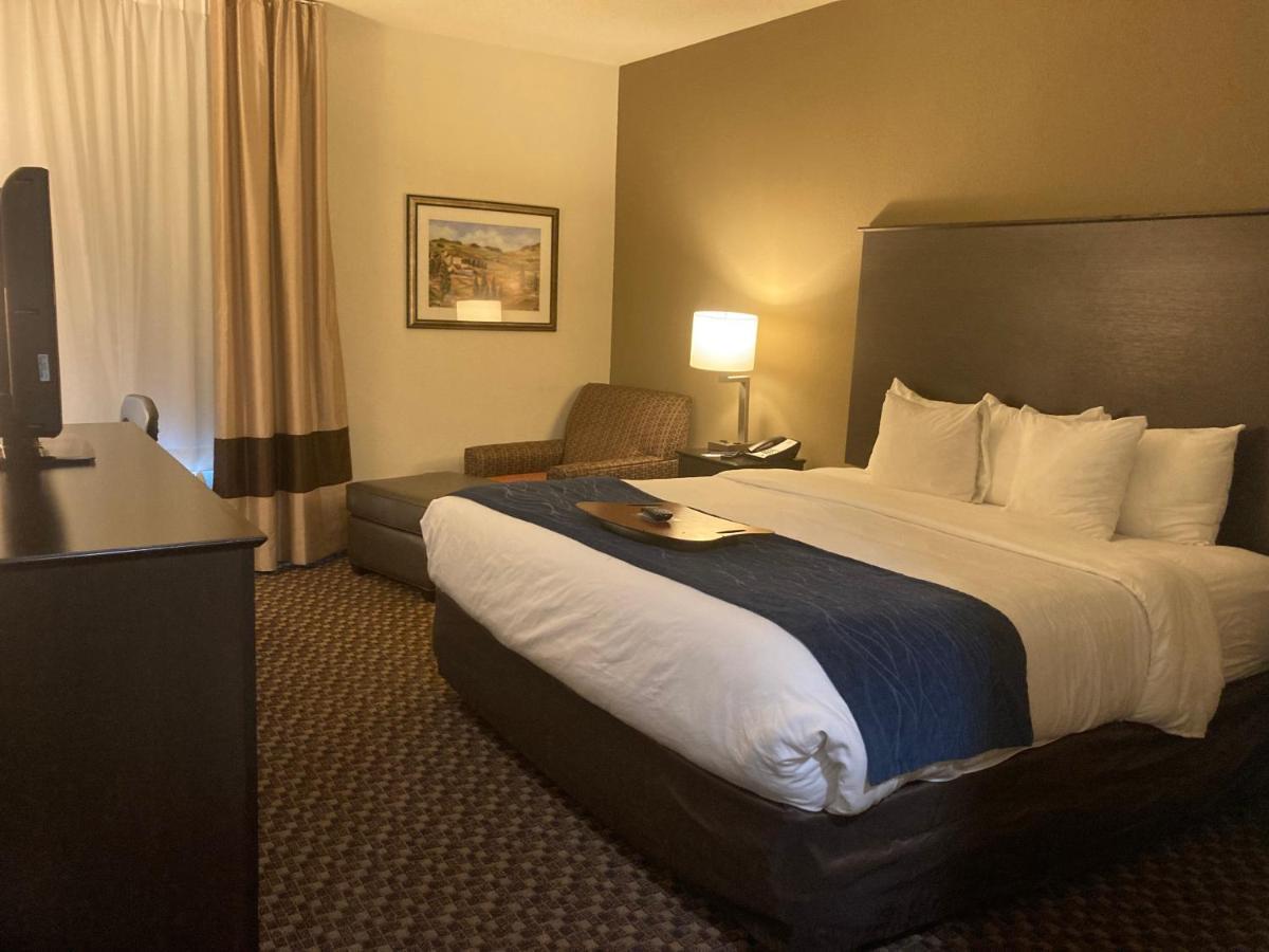 Comfort Inn Wings Stadium Kalamazoo Exterior foto