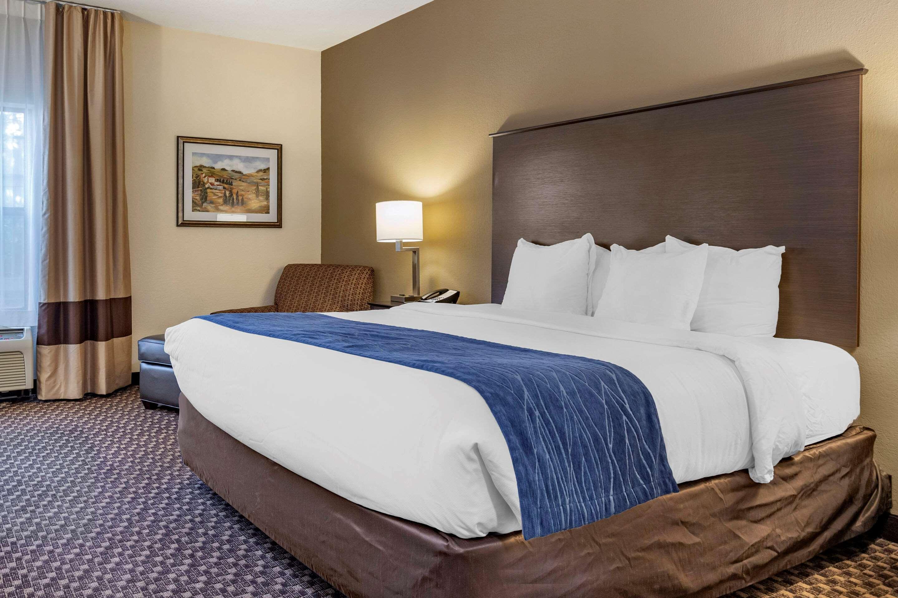 Comfort Inn Wings Stadium Kalamazoo Exterior foto