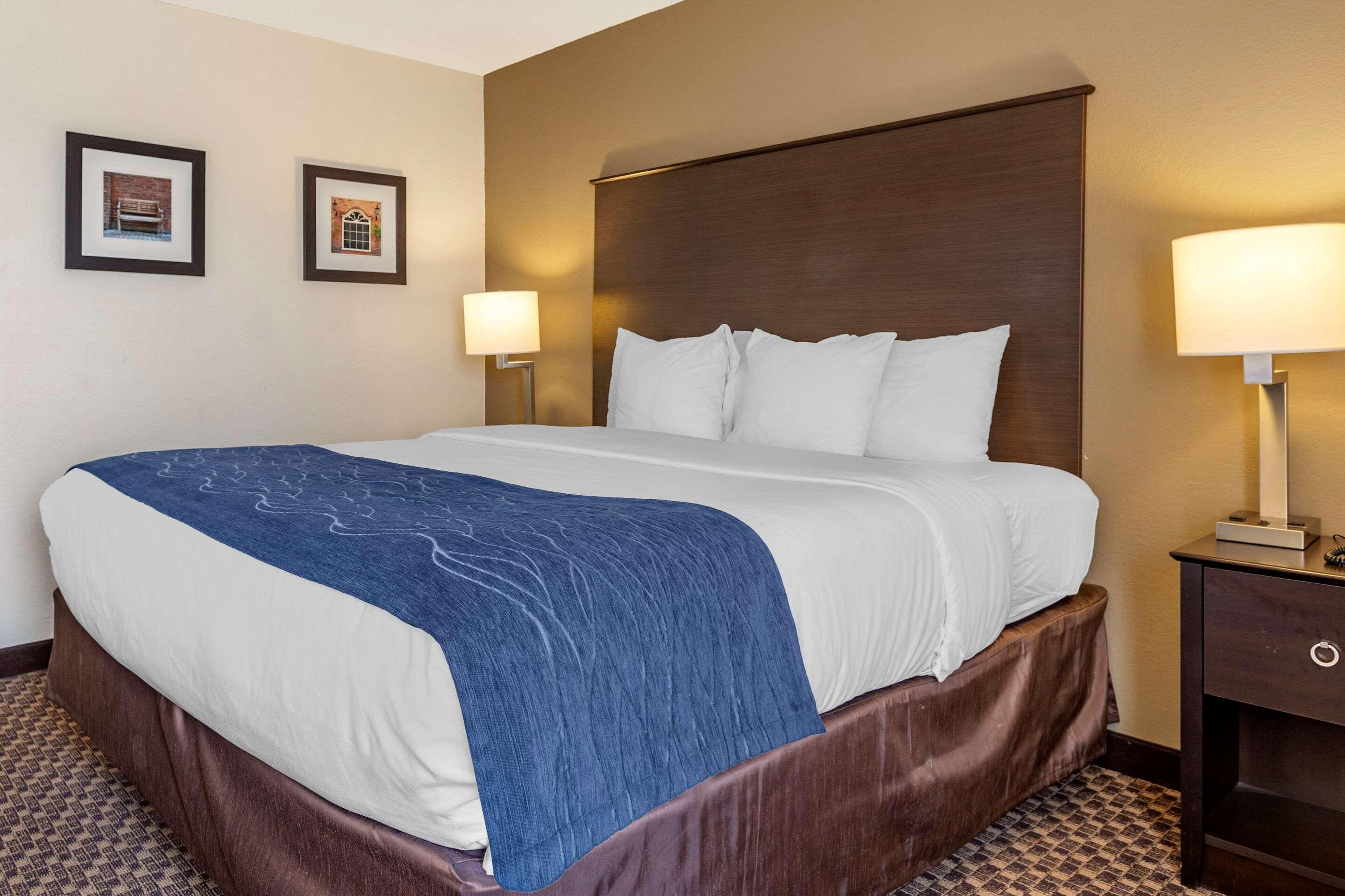 Comfort Inn Wings Stadium Kalamazoo Exterior foto